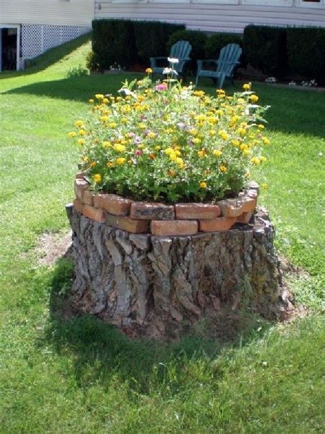Beautiful Tree Stump Planter Ideas For The Garden 12 Bosidolot