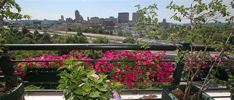 Find inspiration for turning a rooftop into a functional rooftop photography as fine art. A Rooftop Garden in the City - Syracuse New Times