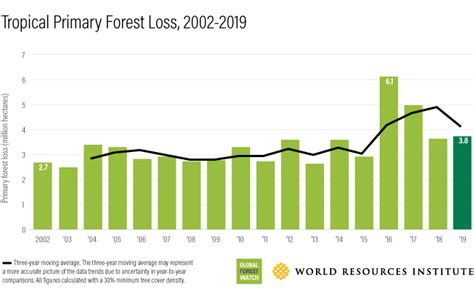 This Is What Global Deforestation Looks Like Around The World World