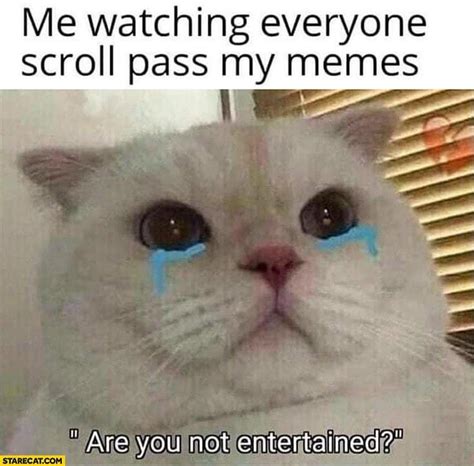 The Very Best Crying Cat Memes Plus Sad Cat Meaning And Backstory