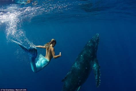 Real Life Mermaid Swims With Whales Using Very Own Fish Tail And