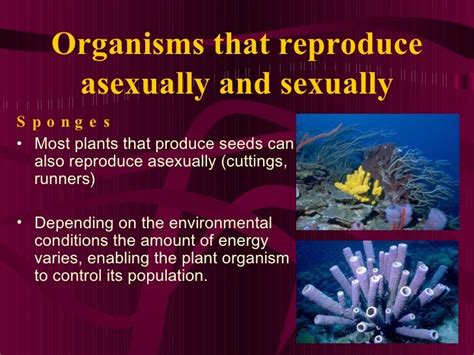 Science 9 Unit A Biological Diversity Section2 Lesson4 Asexual Sexual