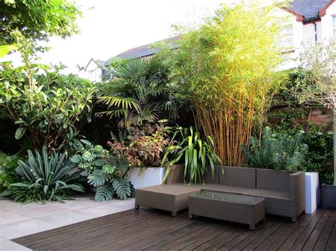 Garden Design By Post A Modern Tropical Garden In Devon 1000 In 2020