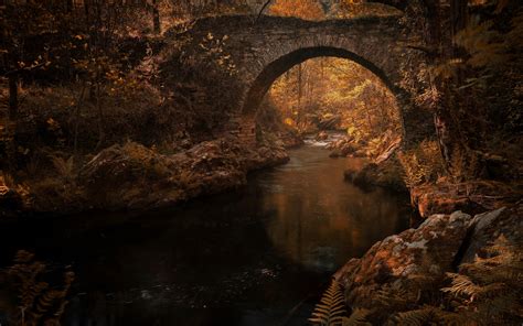 Download Wallpapers Old Stone Bridge Autumn River Forest Autumn