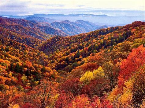 When is the Best Time to See Smoky Mountain Fall Colors?