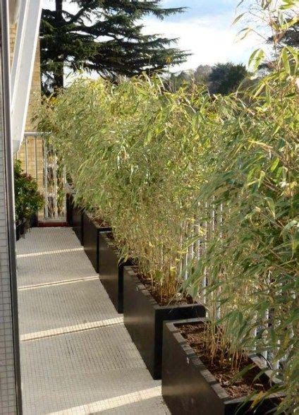 35 New Ideas Bamboo Privacy Screen Balcony Patio Bamboo Garden