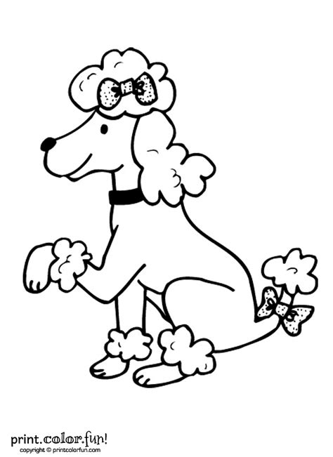 Select from 35870 printable coloring pages of cartoons, animals, nature, bible and many more. Poodle dog coloring page - Print. Color. Fun!