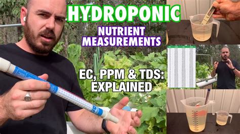 Hydroponic Nutrient Measurements Ec Ppm And Tds Explained Youtube