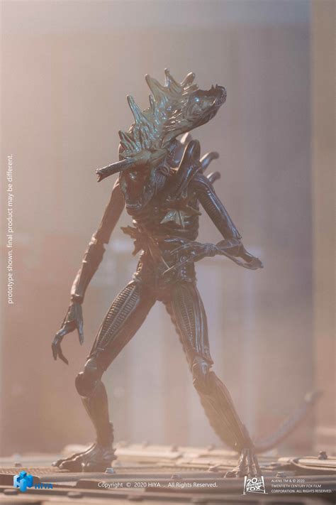 4,359,080 likes · 876 talking about this. New Aliens and Alien vs Predator Figures Revealed by Hiya ...