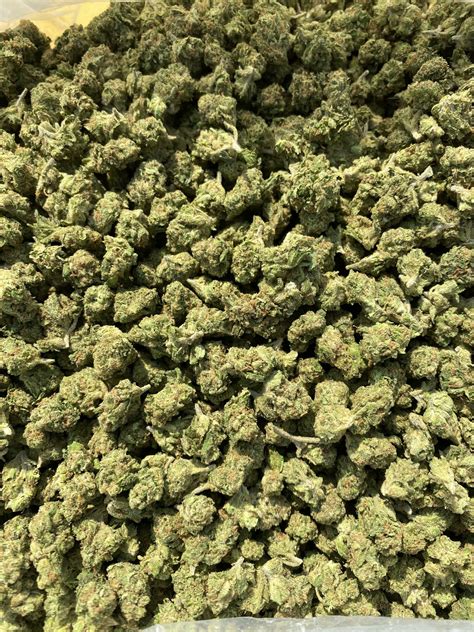 BULK INDOOR THCA FLOWER SMALLS - Wholesale CBD Flower