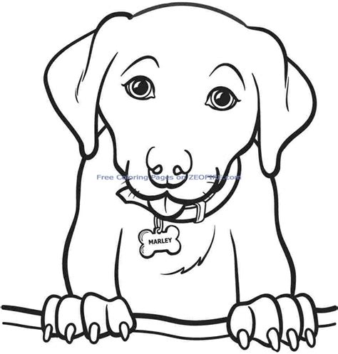Choose the prints you like a lot of printable coloring pages can be available on just a couple of clicks on our website. Printable Coloring Pages For Teens at GetDrawings | Free ...