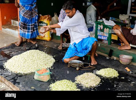 A Man Freshens Up His Madurai Jasmine Malli Appreciated World Wide