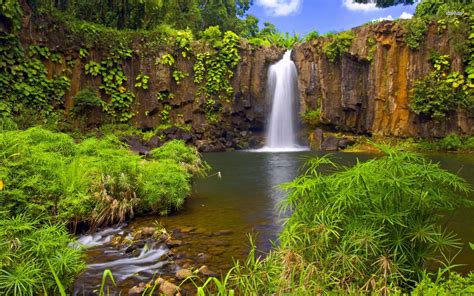 Please check my other free live wallpaper. Jungle Waterfall | Jungle waterfall wallpaper - Nature ...