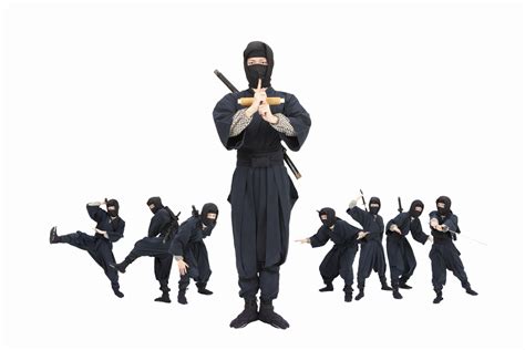 The History Of Ninja Tea Ceremony Japan Experiences Maikoya