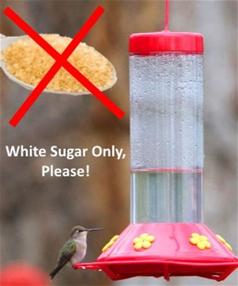 A mixture of 4 parts water and 1 part sugar is close to the amount of sucrose they get when feeding on natural nectars. Hummingbird Food Recipe: Make Your Own Nectar