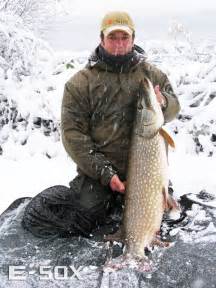 Steve Rowleys Iconic Pike In The Snow Photo Drennan International
