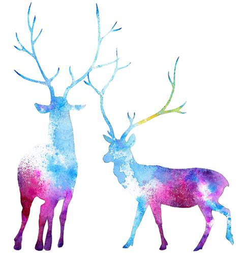 Reindeer Elk Moose Watercolor Painting Watercolor Animals Png