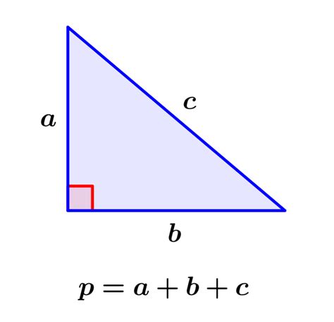 Perimeter Of A Right Triangle Formulas And Examples Neurochispas