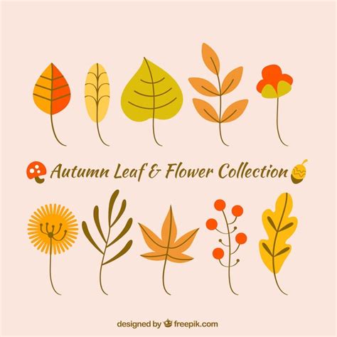 Free Vector Autumn Leaves Collection