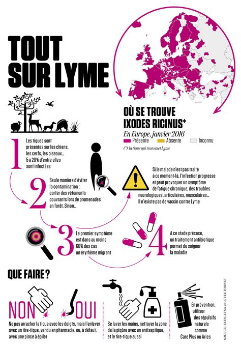 La maladie de lyme, ou « borréliose de lyme » est une maladie infectieuse due à une bactérie nommée « borrelia burgdorferi » transmise lors d'une morsure de tique. Maladie de Lyme : comment s'en protéger, la diagnostiquer ...