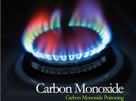 Its effects are caused not only by impaired oxygen delivery. Hotel Safety Issues: Carbon Monoxide Poisoning That Killed ...