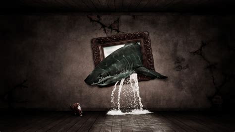 Free Download Weird And Freaky Wallpaper The Most Strange Wallpapers