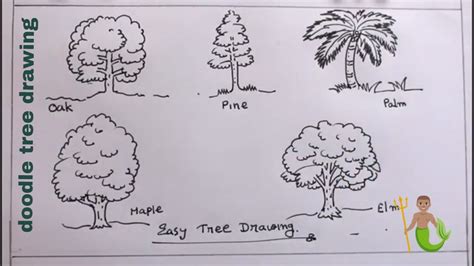 Aggregate 75 Types Of Trees Drawing Xkldase Edu Vn