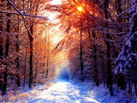 Winter And Snow Scenes Free Desktop Wallpapers For Widescreen Hd And