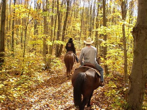 5 Best Places For Horseback Riding In Gatlinburg And Smoky Mountains
