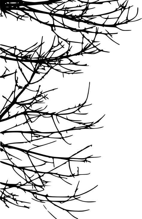 15 Tree Branch Silhouettes PNG Transparent OnlyGFX