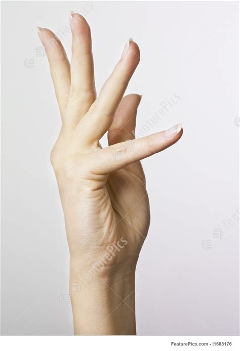 The body of a woman is covered with a much larger number of receptors than the body of a man. Human Body Parts: Woman's Hand - Stock Photo I1688176 at ...