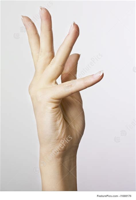 Tell her all the specific details about the parts. Human Body Parts: Woman's Hand - Stock Photo I1688176 at ...