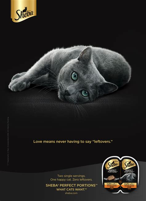 In january 2011 mars petcare us announced that the food would be discontinued due to economic factors. Not Even Sex Can Get in the Way of People's Love for Cats ...