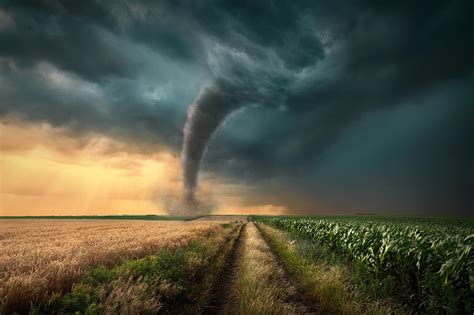 Focused on health and natural resources: Mental Health Issues After Natural Disasters | Mental ...