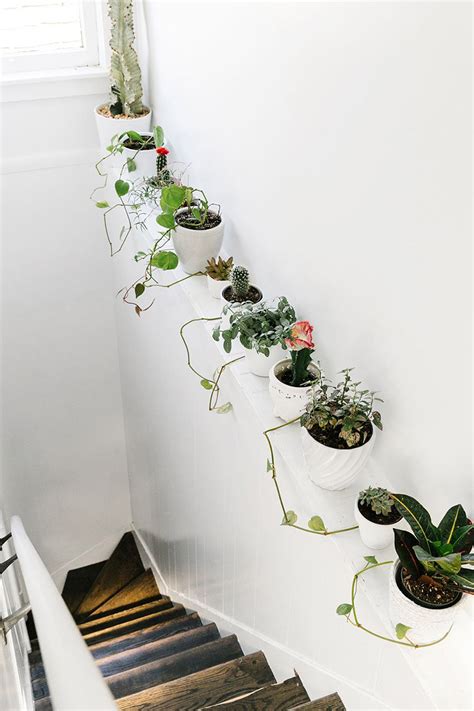 This combination of disco balls and plants that i'd like as a permanent art installation in my home. Ideas to decorate a home with plants - decordove