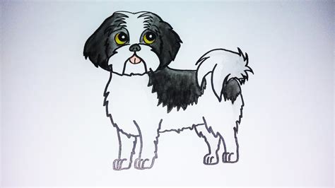 Como Desenhar Um Cachorro Shih Tzu Youtube