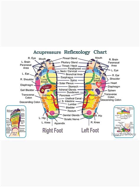 Acupressure Foot Reflexology Chart Premium Matte Vertical Poster Sold By Lais Lerner Sku