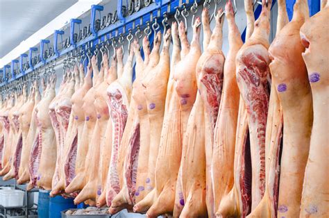Pork Carcass Cutout Value Drops Mid West Farm Report