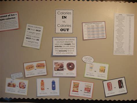 Calories In Vs Calories Out Bulletin Board By