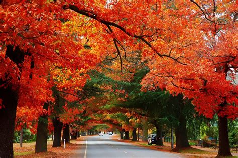 Know Everything About Autumn In Australia For A Perfect Trip