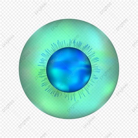 Cell Of Human Body Cell Human Body Microbiology Png And Vector With Transparent Background