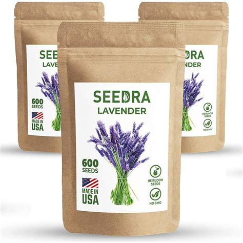 Seedraus 1800 English Lavender Seeds For Indoor And Outdoor Planting