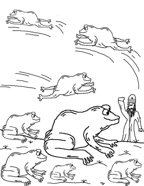 Frog Plague Coloring Page Sketch Coloring Page