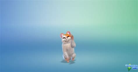 Luniversims Hamtaro Hamster By Blackwolfs646 • Sims 4 Downloads