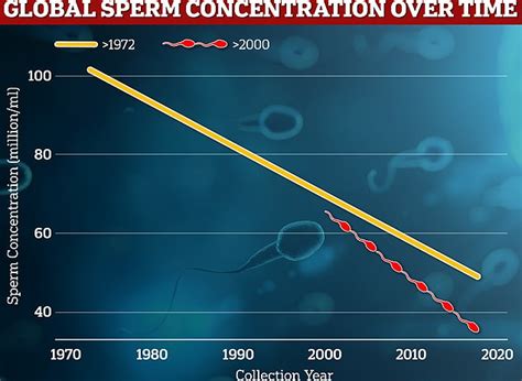 Mens Sperm Rates Have More Than Halved Since The 1970s Daily Mail Online