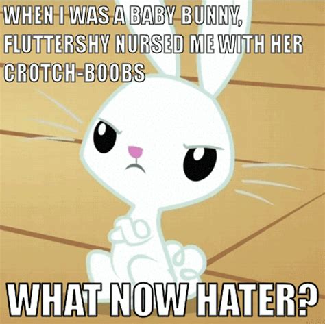 Angel Bunny Animated Come At Me Bro Crotchboobs