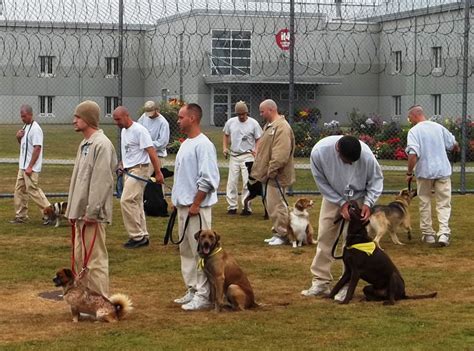 Are Service Dogs Allowed In Prison