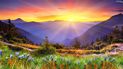 Spring In The Mountains Wallpaper 64 Images