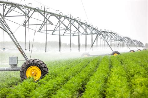 Azerbaijan Launches Production Of Center Pivot Irrigation Systems Photo