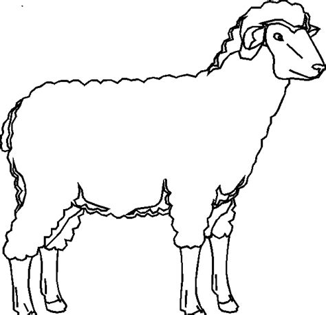 Kolorowanka Owca Do Druku Pcmigtool Images And Photos Finder